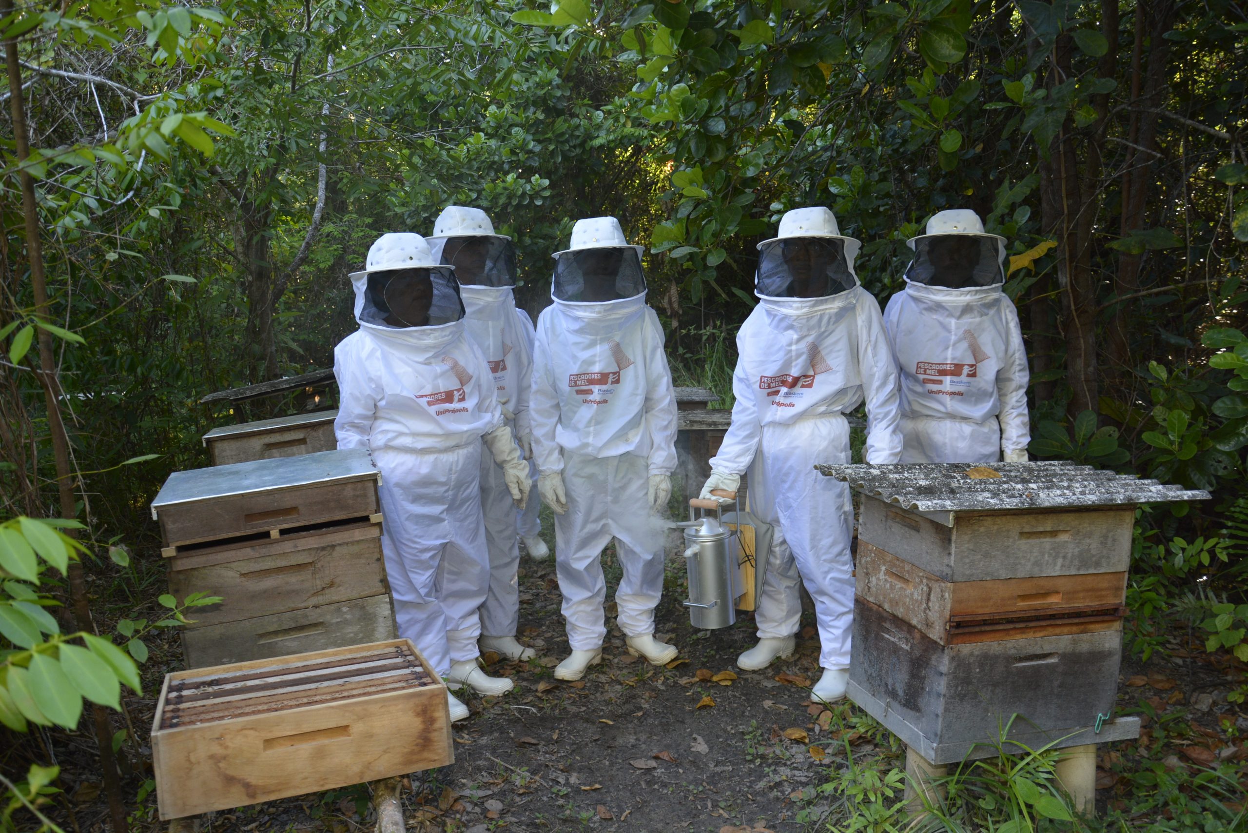Projet « Pescadores de mel » pour la production de Propolis Rouge